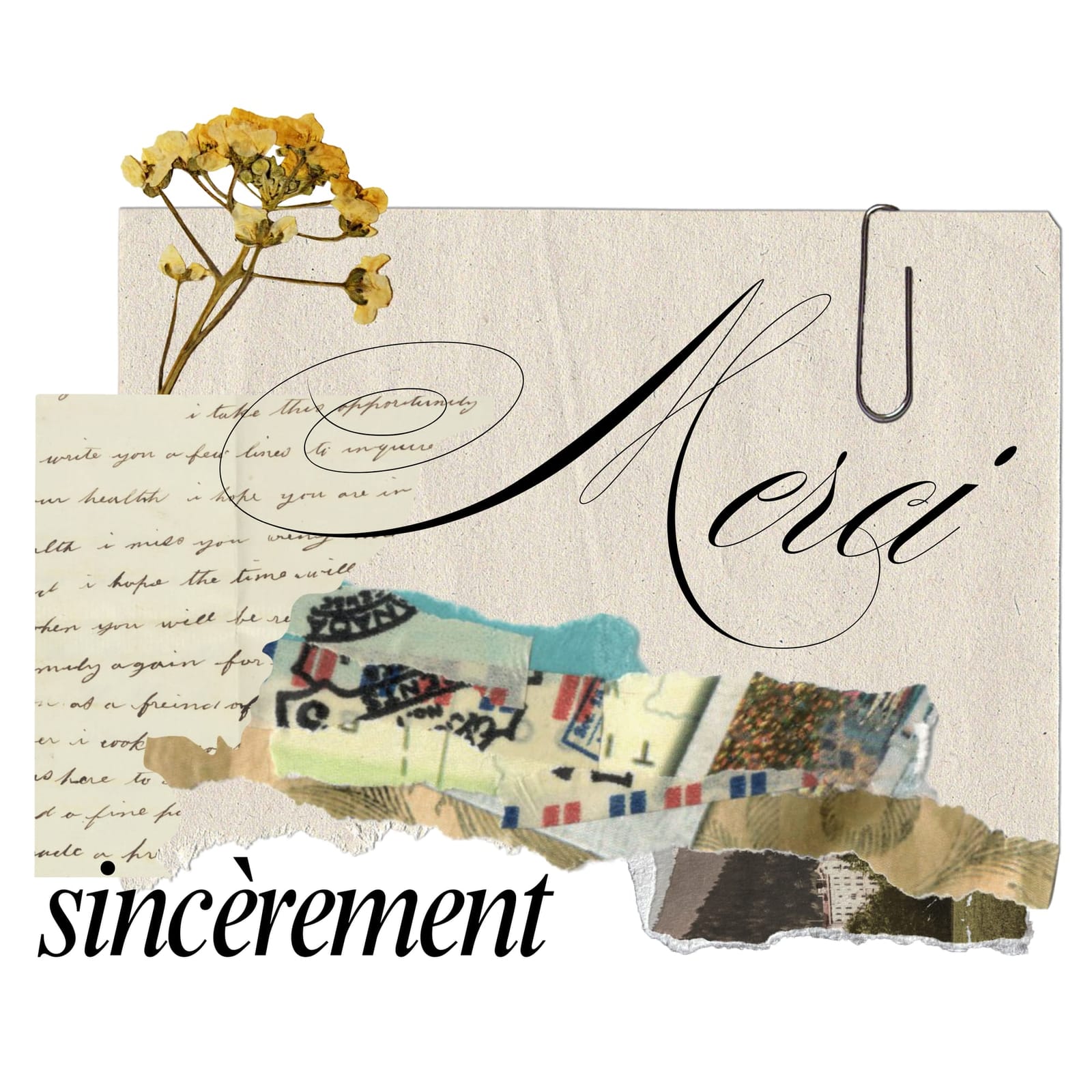 Vintage French Scrapbook Collage Design with Elegant "Merci Sincèrement" Calligraphy, Antique Paper Textures, Dried Yellow Wildflowers, and Retro Ephemera Paperclip Aesthetic