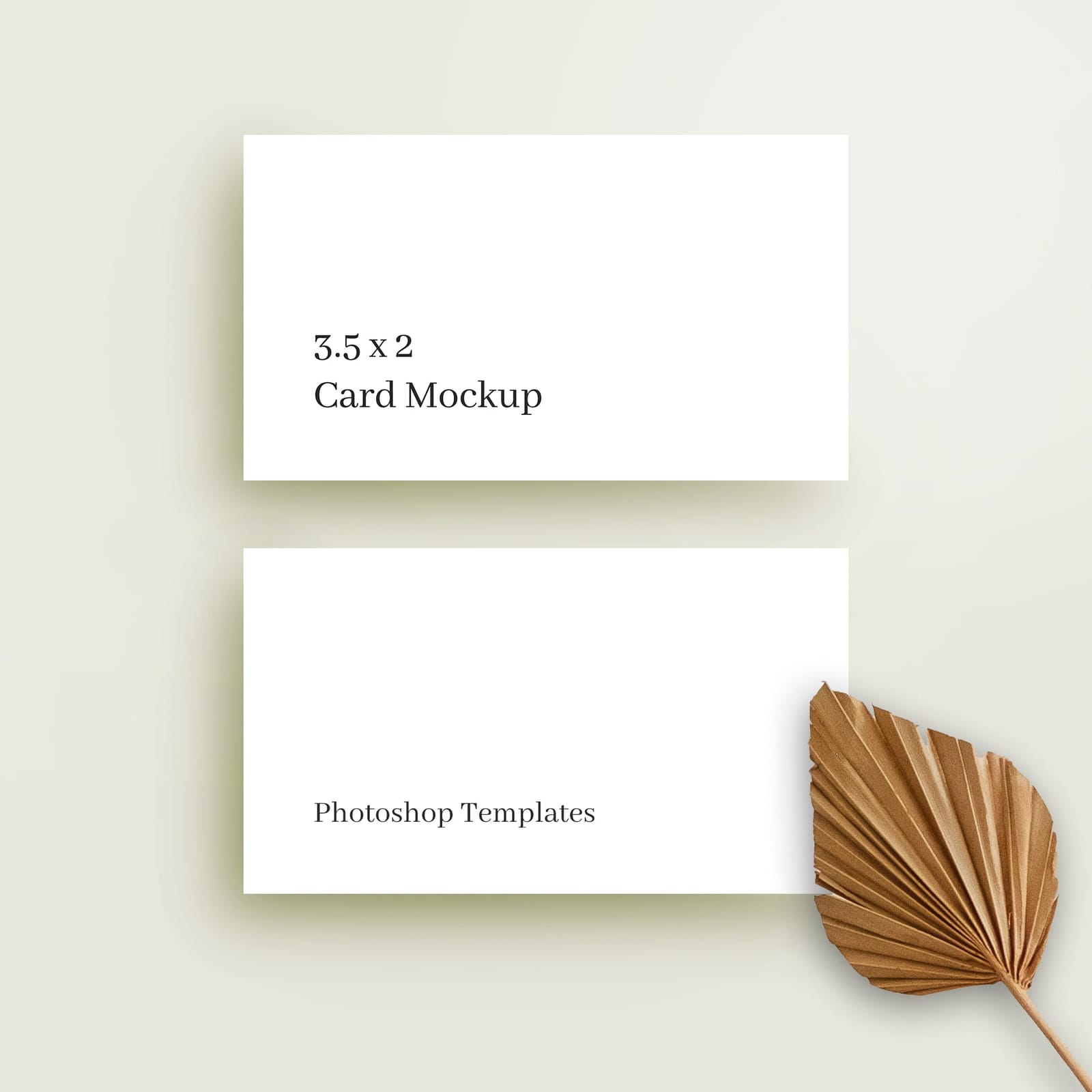Minimal Palm Business Card Mockup