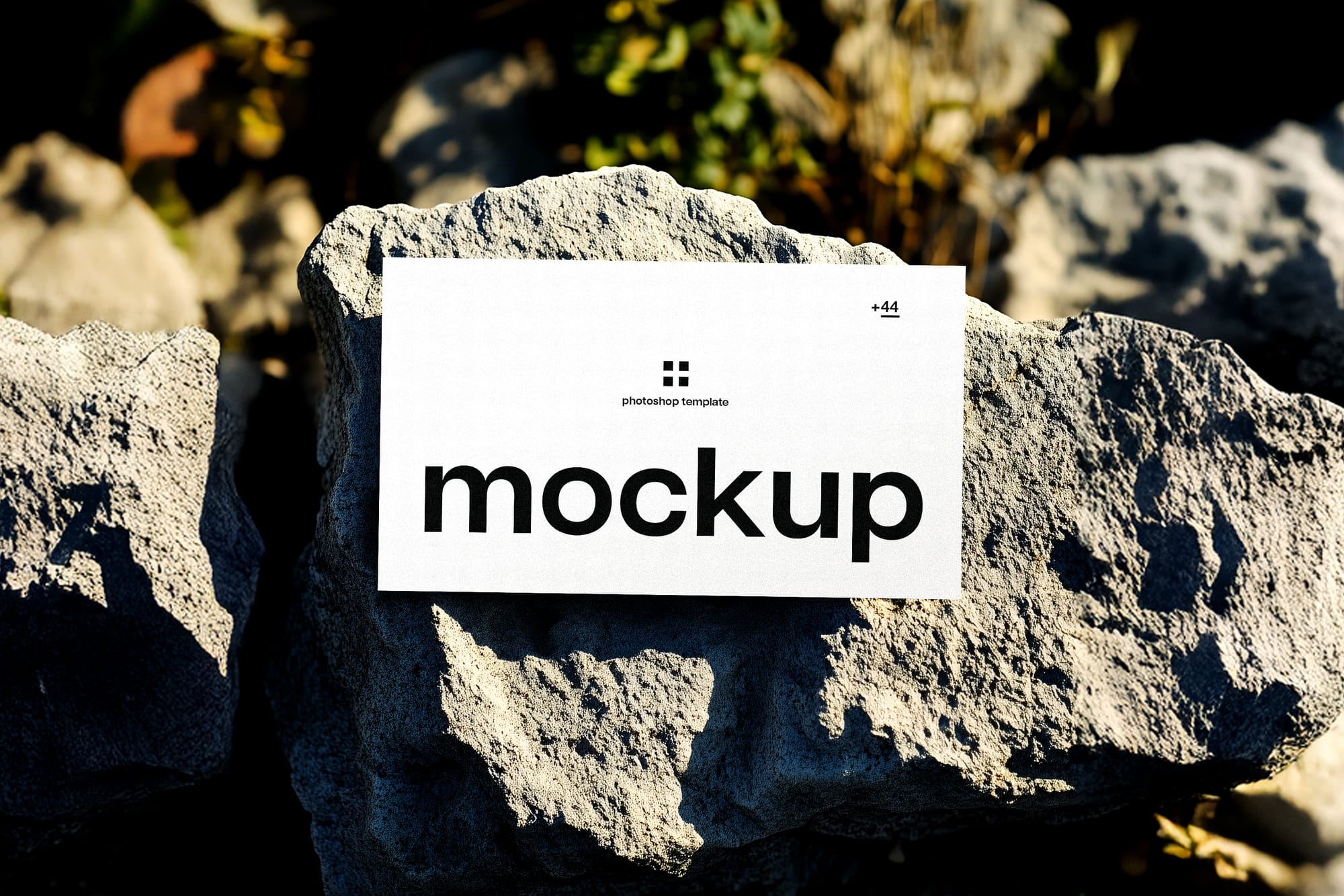 Business Card Mockup in Daylight on Stone